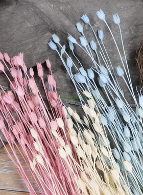 灯笼果风铃果酒杯花进口大地农园50510干花耳环饰品diy原材料