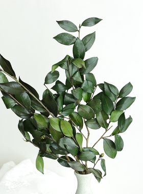 等花来大地绿色叶子03790/03362/02622马醉木桂花叶茶花diy插瓶花