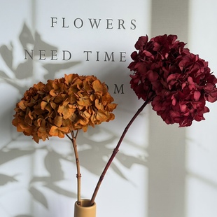 永生花单支绣球大叶重瓣石灰灯带杆子木绣球插花装饰拍照摄影道具