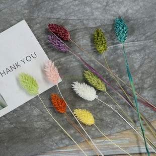 进口大地农园永生花42020小穗花宝石草小菠萝FL干花配花拍摄道具