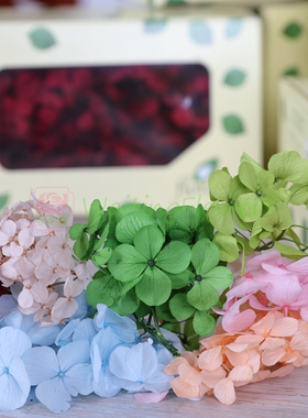 永生花绣球FL291进口Florever安第斯卷卷中叶小份2gdiy原材料