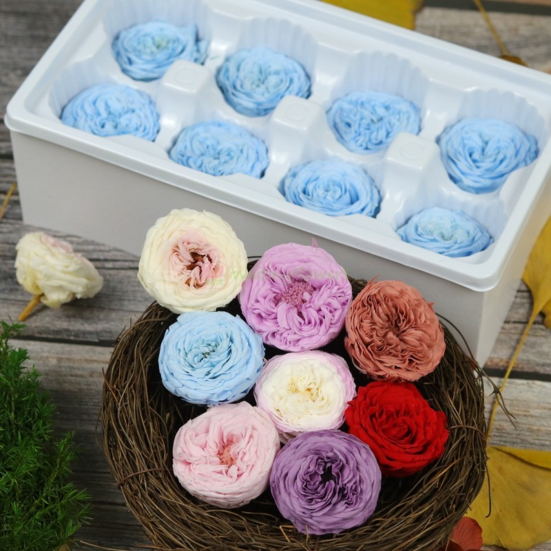 等花来国产a级4cm玫瑰永生花花材料包diy原材料平脸永生花奥斯汀