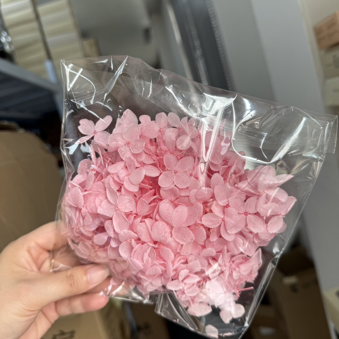 等花来国产B级木绣球10g婚礼伴手礼安娜小叶大叶花瓣diy手工相框