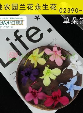 兰花永生花02390进口大地农园保鲜花00340大叶蕙兰diy圣诞树配材
