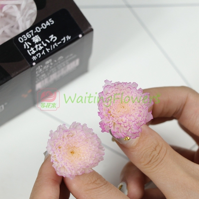 进口永生花大地农园保鲜花花盒