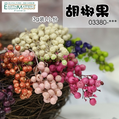 胡椒浆果小份拍摄道具花环材料