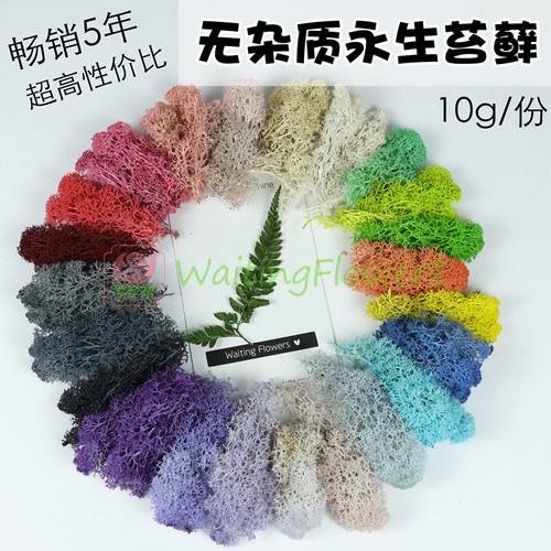 绿植墙打底无杂质diy永生花苔藓