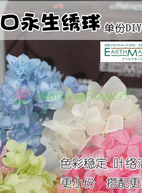 进口01900diy材料包01510小份3g大地农园重瓣小叶绣球永生花
