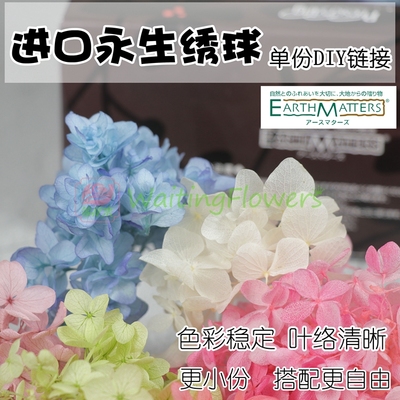 日本进口01900diy材料绣球永生花