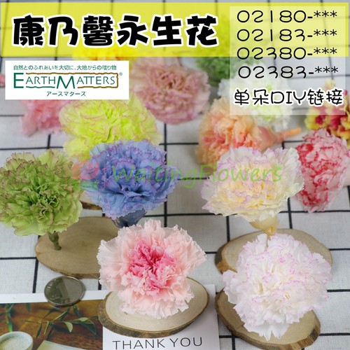 进口康乃馨永生花母亲节花材礼物