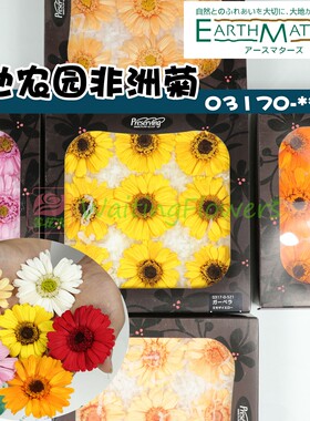 扶郎永生花大地农园非洲菊等花来