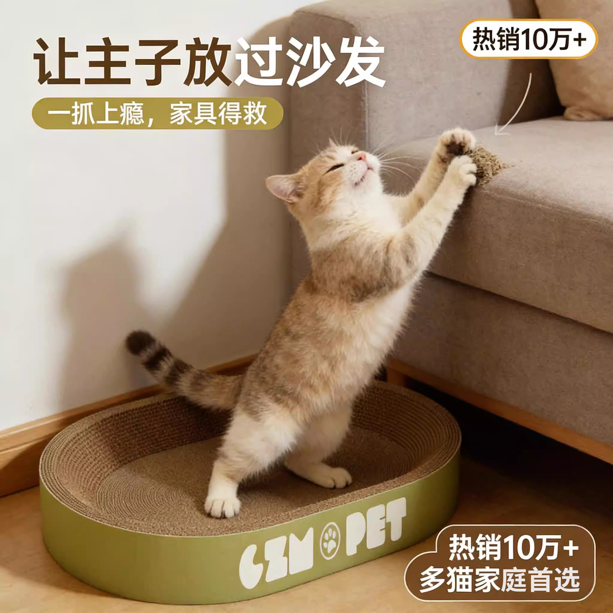 ���ڲ�����Բ�Σ�36cm���ʺ�6���ڡ� ����è���ɡ� ��è��9���1èץ�������׼û�� 4.1Ԫ