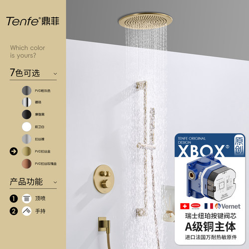 包安装鼎菲吸顶按键暗装花洒