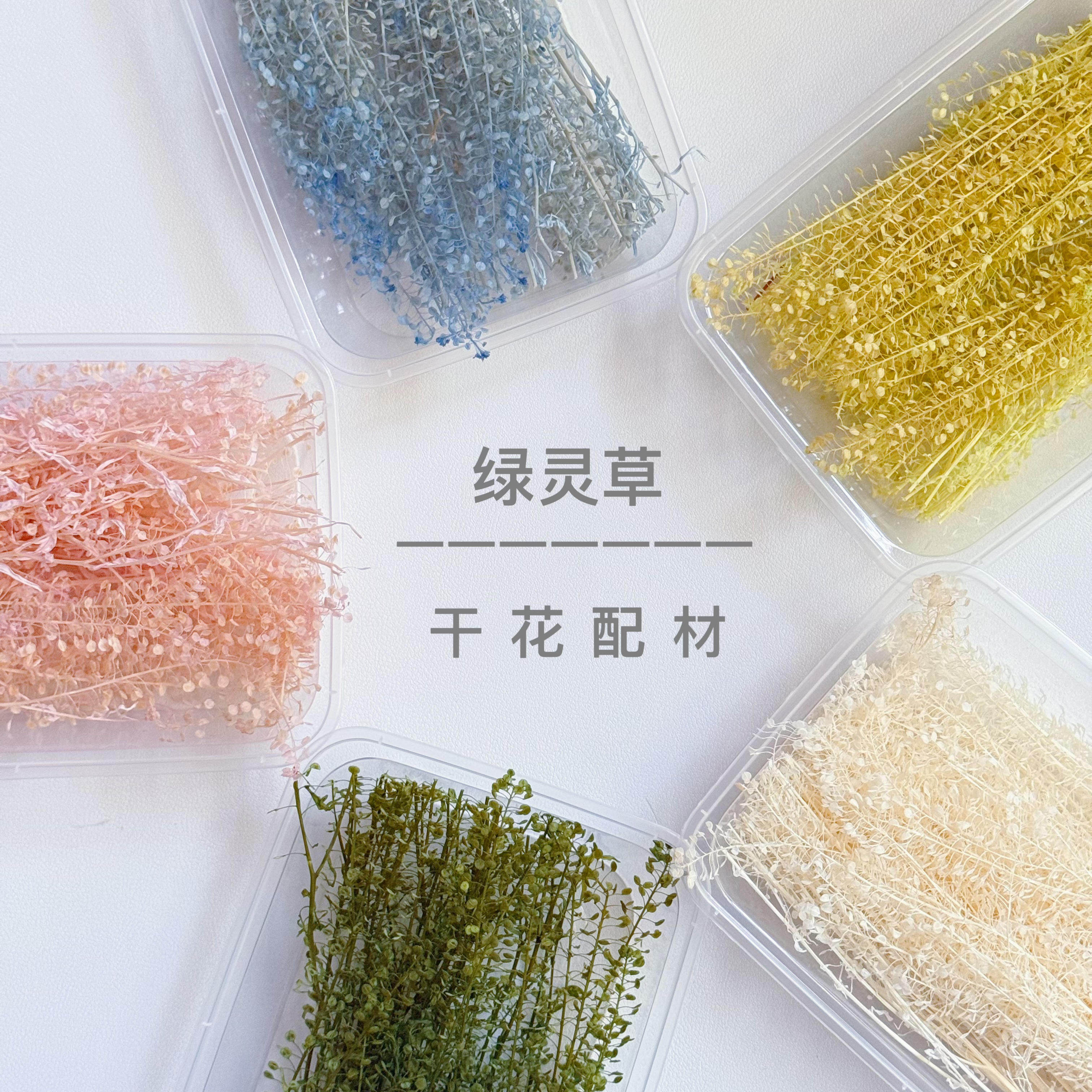 云南永生花绿玲草居家装饰新娘头干花/花瓣/干花包/