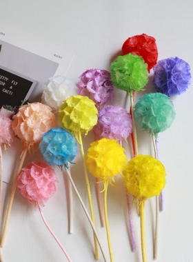 永生花松虫果松虫花风车果干花diy材料手工戒指材料相框礼盒花材