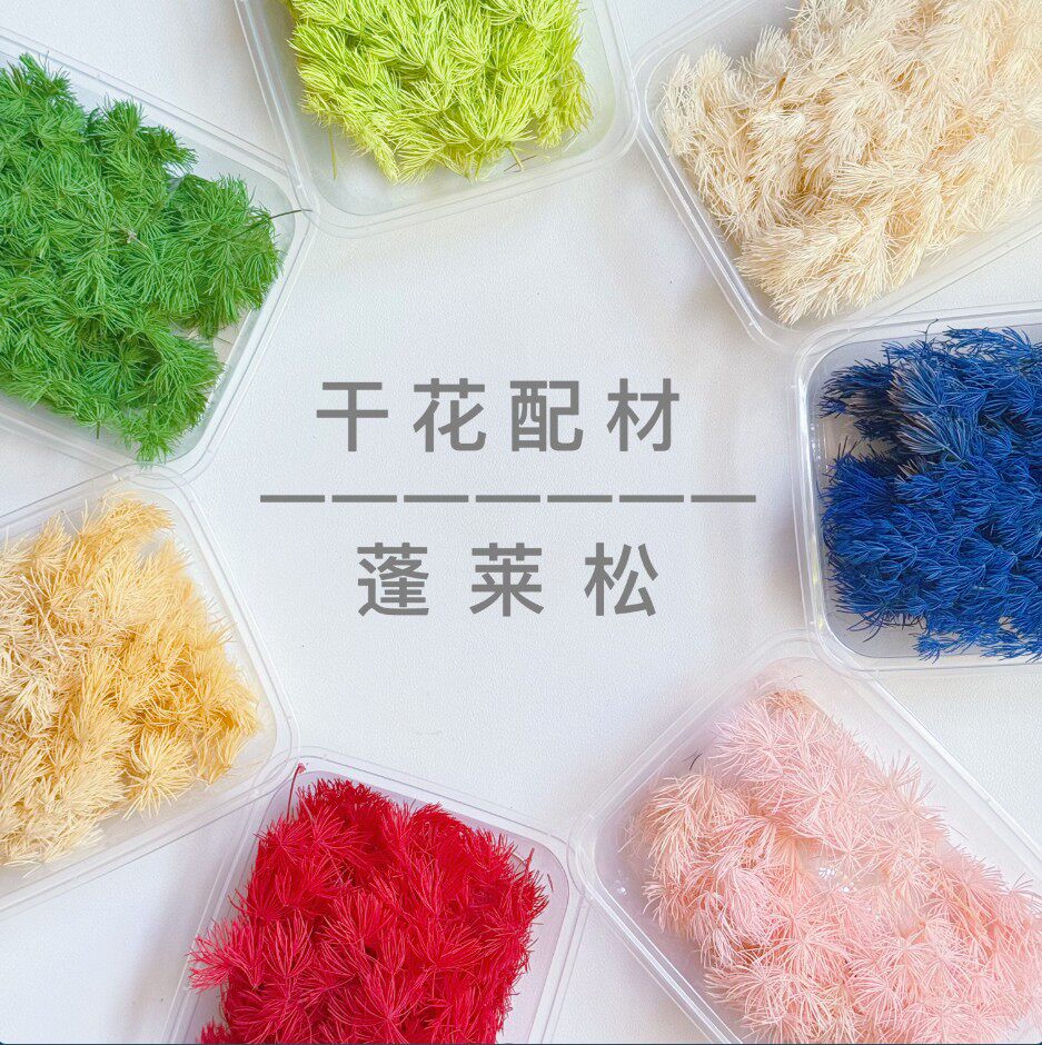 永生花蓬莱松迷你戒指材料干花d干花/花瓣/干花包/