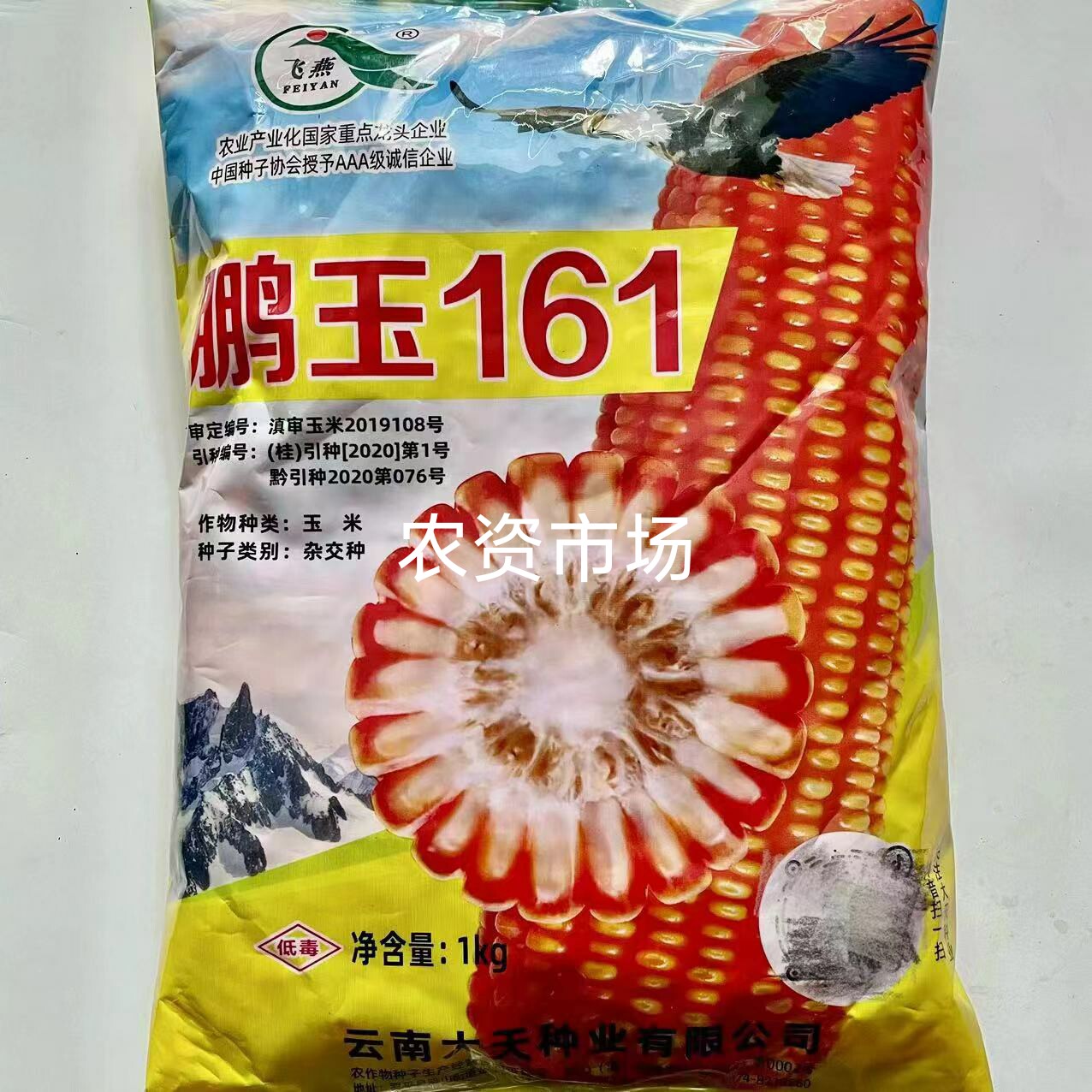 半硬粒棒大芯小高产杂交玉米种子 鹏玉161