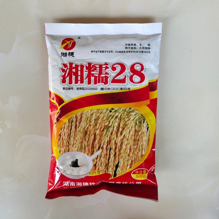 糯谷种子 糯稻种子 湘糯28 大长粒糯米 常规糯米种子 1斤