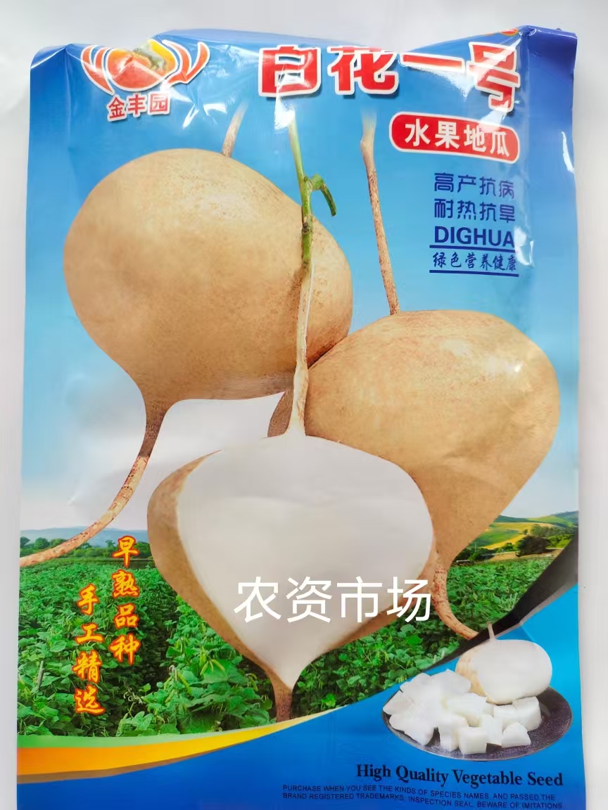 白花一号凉薯种子四川地瓜种子凉薯早熟皮薄行香甜可口脆嫩瓜形美