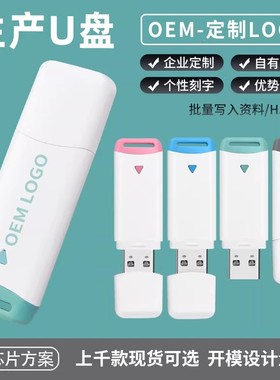 【10个装】4g投标优盘招标2gb1gb塑料u盘有灯光8G存储盘512mb256