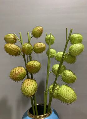 糖棉唐棉高仿真插花景观设计家居美陈现代装置造景拍照道具