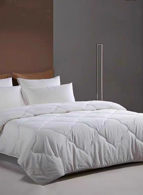 梦洁家纺2022新款正品甄柔莫代尔提花大豆抗菌发热被00293