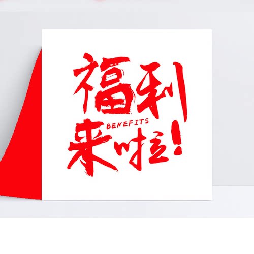 05/19W 品牌！2026新款软糯Q弹不规则修身显瘦纯棉圆领短袖T恤222