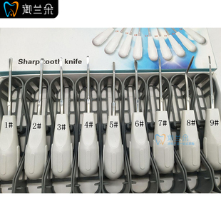 牙科口腔材料拔牙挺 微创牙挺 拔牙铤子 梃子 牙刀 工具齿科口腔