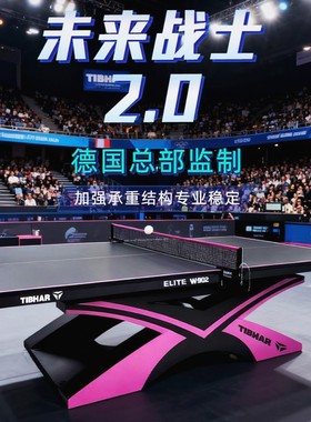 TIBHAR挺拔未来战士2.0乒乓球台室内训练标准乒乓球桌专业比赛用