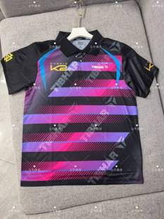 挺拔炙热2.0乒乓球服金标k2短袖套装男速干衣专业训练比赛运动服