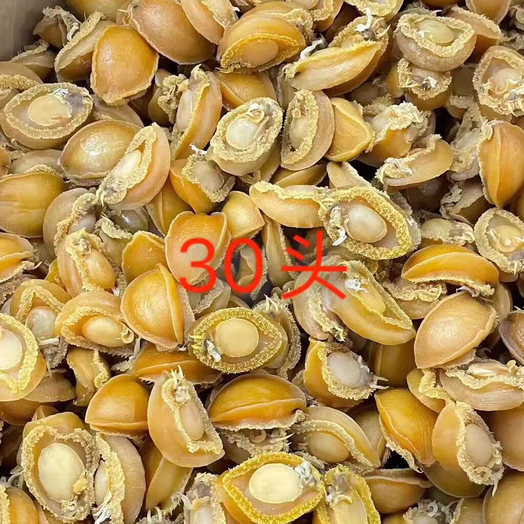 鲍鱼鲍鱼干煮粥煲汤佛跳墙原料