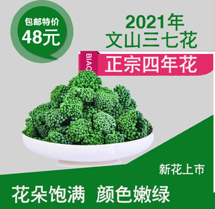 三七花特级精选新花四年云南文山正宗干田七花茶100g250g500g罐装