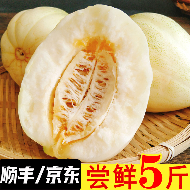 东北香瓜甜瓜特产时令生鲜水果整箱顺丰京东包邮新鲜水果应季5斤