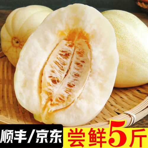 东北甜香瓜新鲜水果5斤