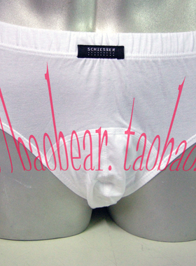 德国舒雅内衣 精品铂雅 男士全棉三角裤内裤95/0149S