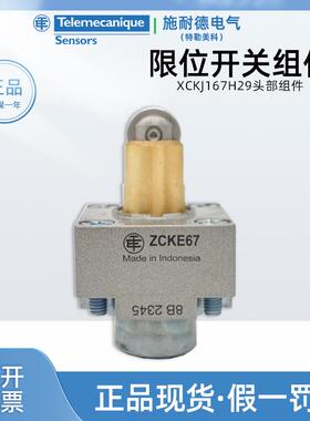 进口特勒美科ZCKE67限位开关操作头 施耐德Telemecanique行程开关
