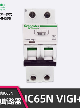 施耐德IC65N VIGI+2P漏电保护一体断路器A9D65216 2P16A 30mA 2位