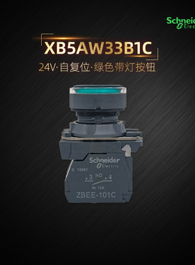 施耐德XB5AW33B1C绿色塑料平头带灯按钮 24V交直流通用 ZBEE-101C