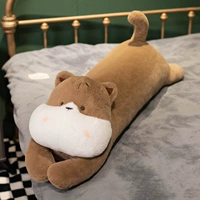 Meng Pet Lieing Cort