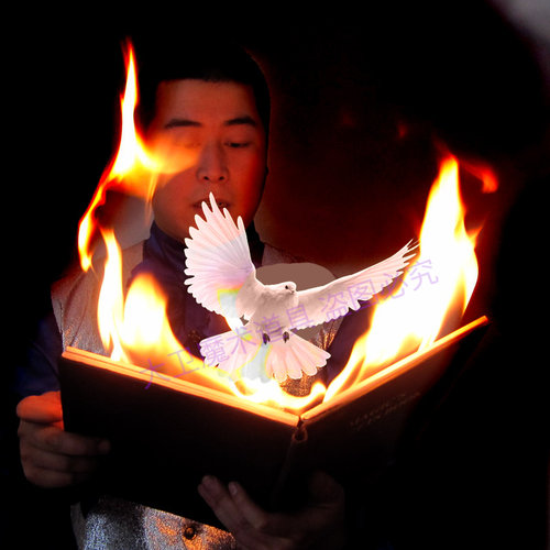 书本着火出鸽子魔术简单效果震撼