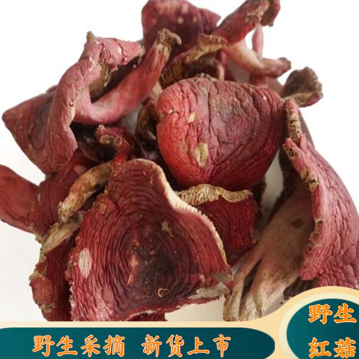 野生菌红蘑菇干货农家特产红菇野山菌干菌菇类杂菌红非云南香菇