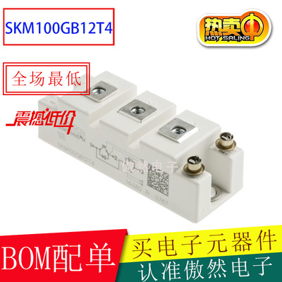 大功率IGBT模块SKM100GB12T4