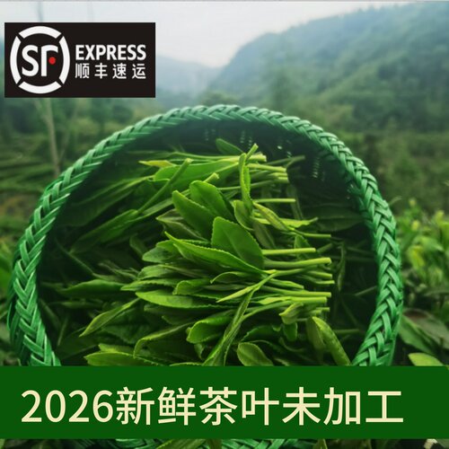 红茶绿茶原料现摘顺丰