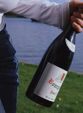 重磅勃艮第新品 法国原瓶进口黑皮诺红葡萄酒干红红酒matrot