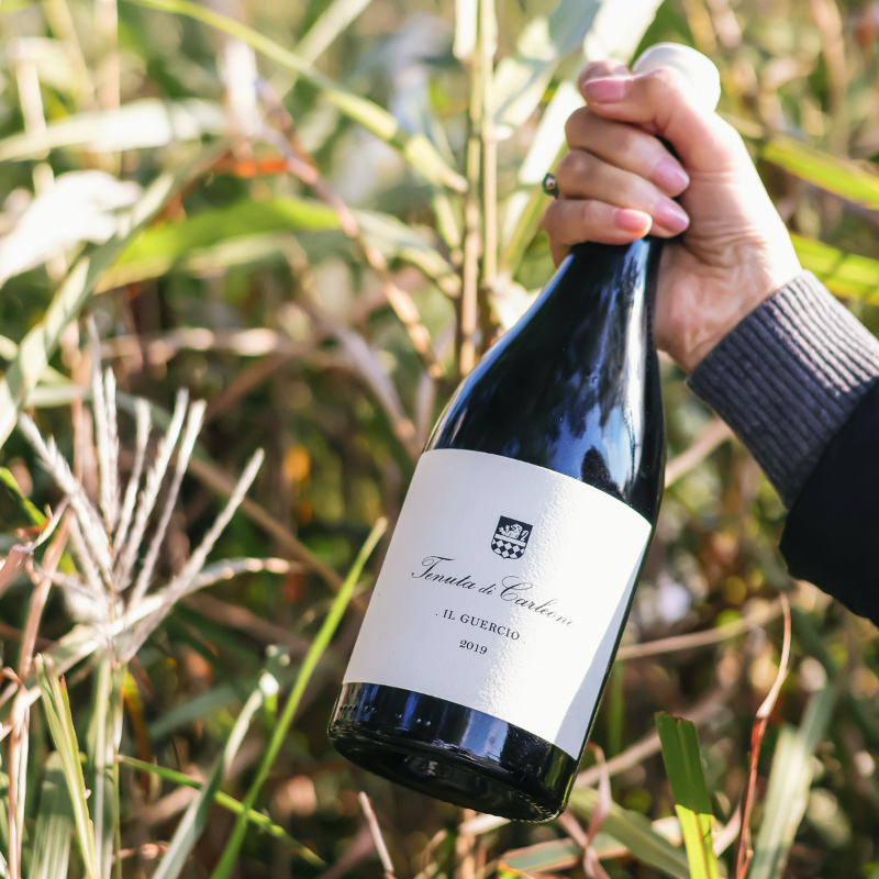 克莱尼桑娇维塞意大利干红葡萄酒