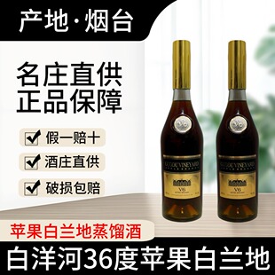 【苹果白兰地】金色V6苹果白兰地白洋河聚会通用款高级苹果蒸馏酒