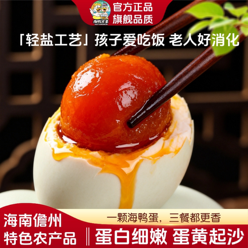 跑海兄弟海鸭兄弟跑海鸭蛋