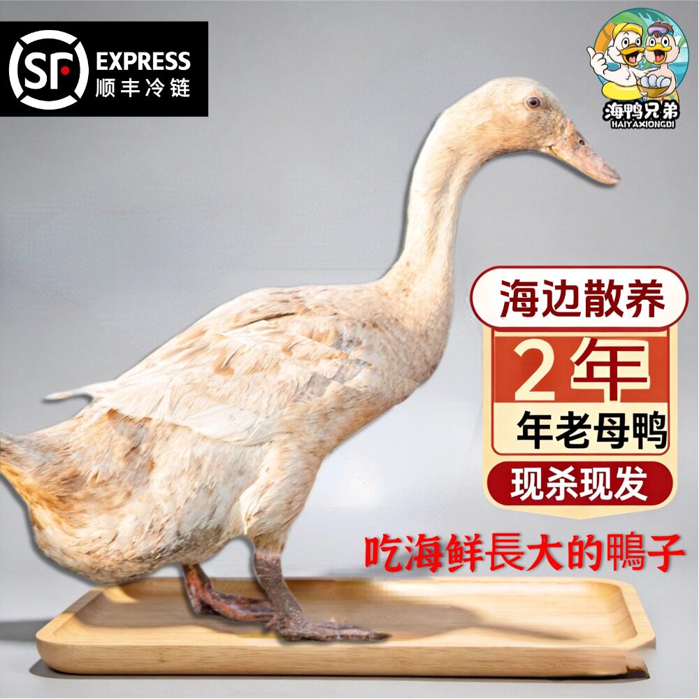 海鸭兄弟海南老母鸭顺丰包邮香草鸭正宗农家散养鸭子新鲜现杀
