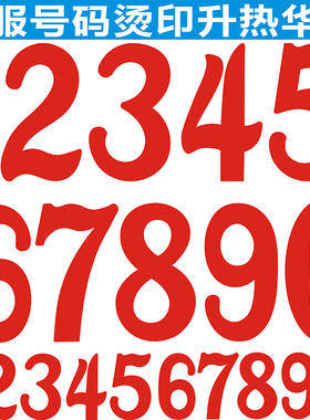 球衣号码水洗不脱落掉色红色实体号个性定制中文字团购烫画升华纸