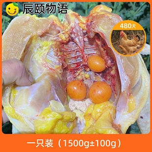 辰颐物语480天竹林散养下蛋鸡真空包装老母鸡新鲜跑山鸡月子草鸡